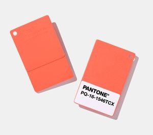 Pantone kleur van het jaar 2019: Living Coral