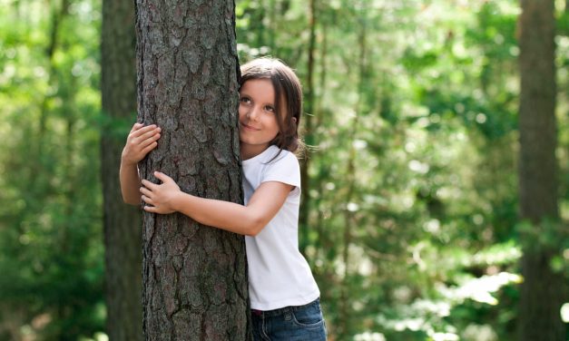 Parador onderwijst kinderen en plant bomen