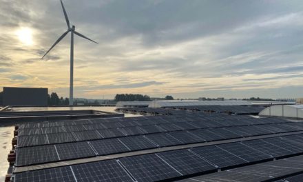 Honderden zonnepanelen op het dak bij T&G Wood