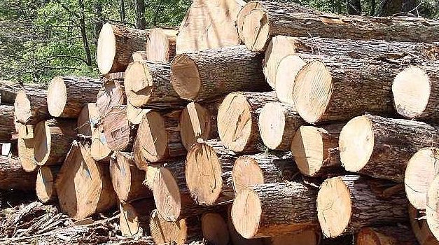 Unilin Group neemt industriële houtzagerij in Roemenië over