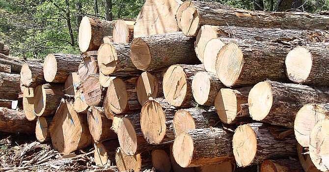 Unilin Group neemt industriële houtzagerij in Roemenië over