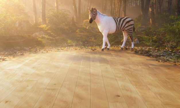 DOMOTEX 2023 opent de poorten met onder andere The Green Collection