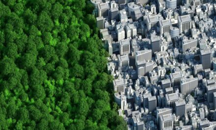 Tarkett maakt duurzaam bouwen toegankelijker met introductie Green Building Cards