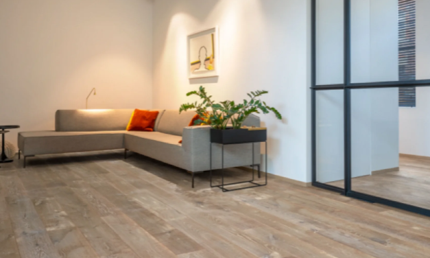 YEPP is al meer dan 60 jaar actief