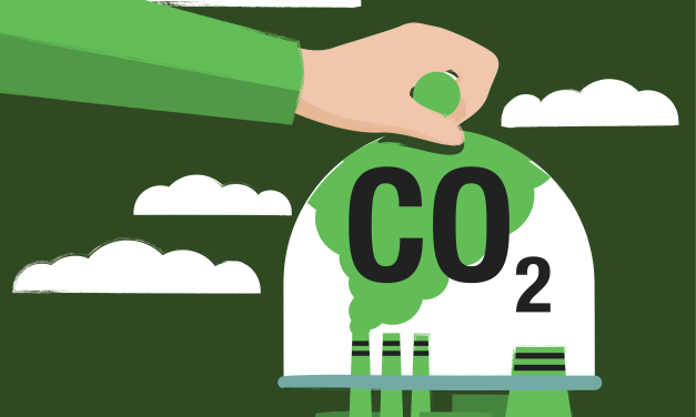 Interface investeert in materiaalinnovatie met afgevangen CO2
