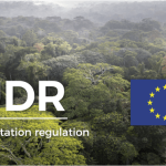 Fedustria verwelkomt het Europese akkoord over de ontbossingsverordening (EUDR)