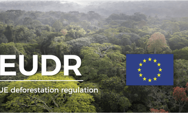 Fedustria verwelkomt het Europese akkoord over de ontbossingsverordening (EUDR)