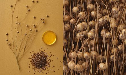 Tarkett presenteert ’s werelds eerste CO₂-negatieve linoleum