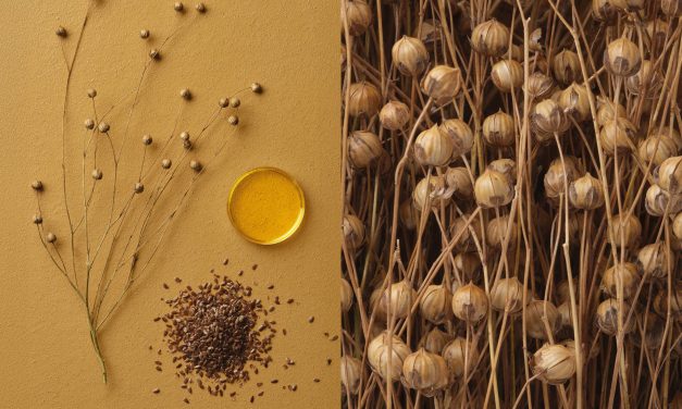 Tarkett presenteert ’s werelds eerste CO₂-negatieve linoleum