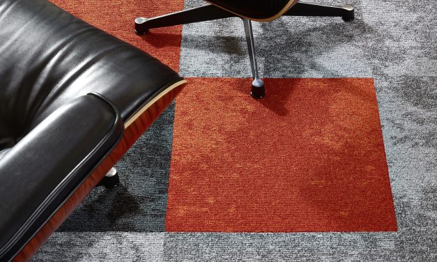 Diversiteit die ruimtes kenmerkt