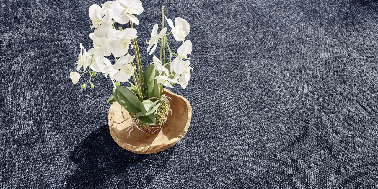 De rustige basis voor veeleisende ruimtes