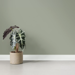 Interface: nieuwe nora plinten