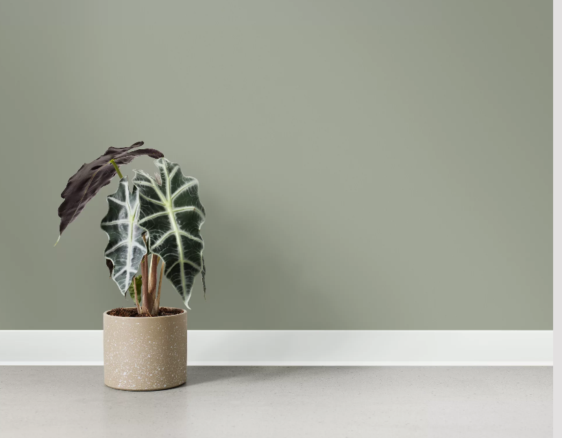 Interface: nieuwe nora plinten