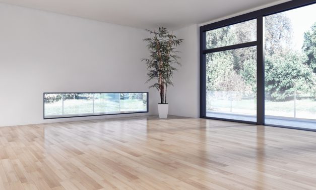 FEP: parket gaat onzekere tijd tegemoet, ondanks wil om te investeren