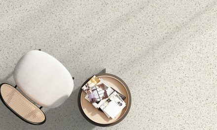 Moduleo introduceert vernieuwde Roots-collectie