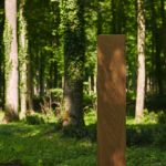 Bjelin over FSC-gecertificeerd hout