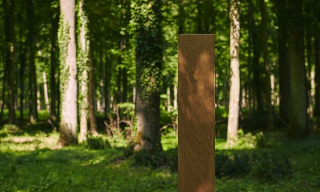 Bjelin over FSC-gecertificeerd hout